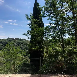 La Casa All'oliveto Appartamento